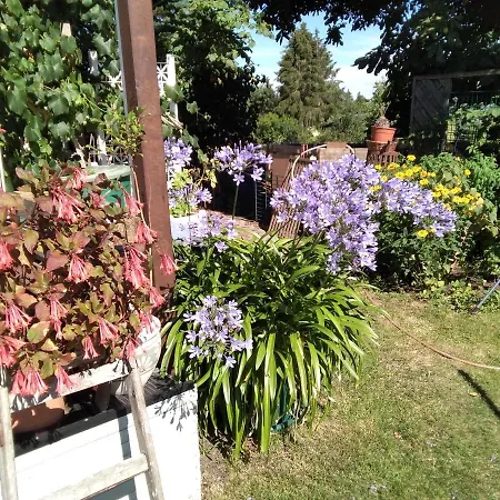 Gartenhaus Apartamento